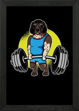 German Shorthaired Pointer