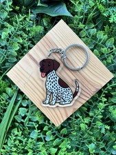 German Shorthaired Pointer Dog