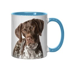 GERMAN SHORTHAIRED POINTER