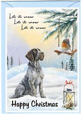 German Wirehaired Pointer Dog