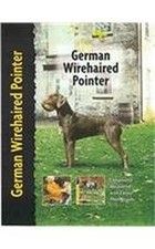 German Wirehaired Pointer (Pet