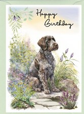 German Wire Haired Pointer