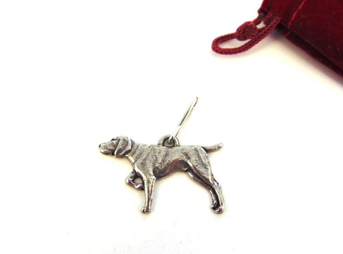 German shorthaired pointer - shorthaired,