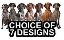 German Shorthaired Pointer