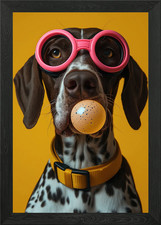 German pointer bubblegum