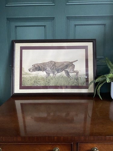 Framed print german short - of,