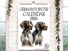 German Pointer 2026-Dog