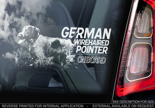 German wirehaired pointer - pointer,