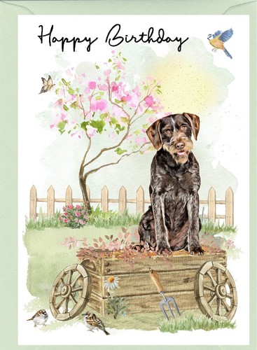 German wire haired pointer - german,