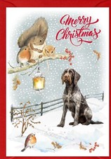 German Wirehaired Pointer Dog