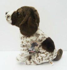 German Short Haired Pointer as