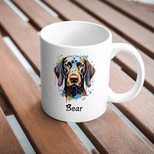 Colourful German Shorthaired