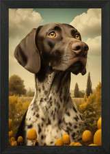German Shorthaired Pointer