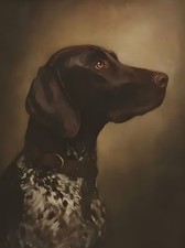 German Shorthaired Pointer Oil