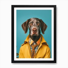 A German Shorthaired Pointer