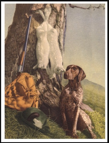 German shorthaired pointer - pointer, dog