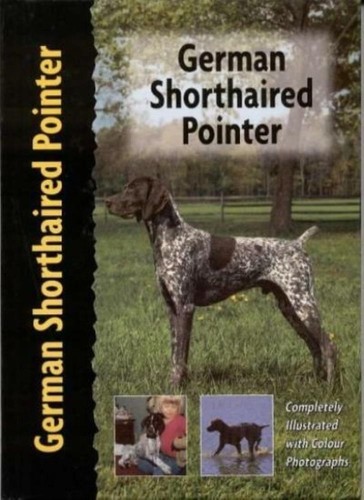 German shorthaired pointer - shorthaired,