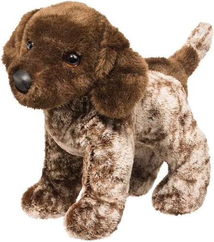 Douglas ivan german pointer - ivan,