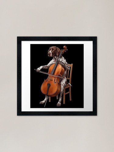 German shorthaired pointer - german,