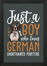 German Shorthaired Pointer Dog