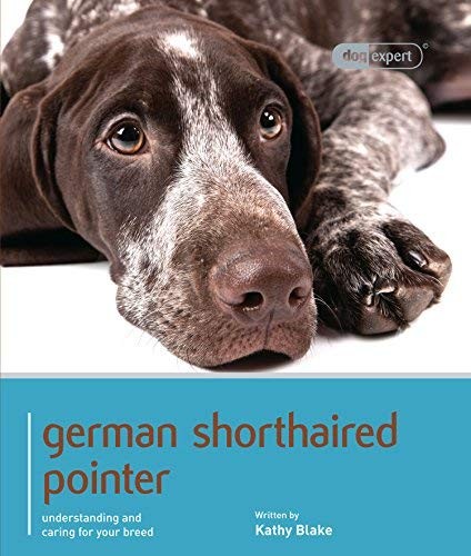 German shorthaired pointer - shorthaired,