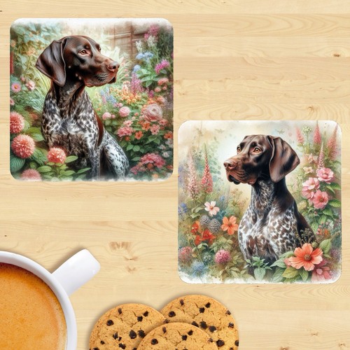 German shorthair pointer - shorthair,