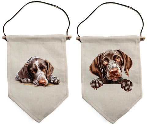 German shorthaired pointer - shorthaired,