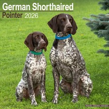 German ShortHaired Pointer