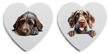 German Wirehaired Pointer