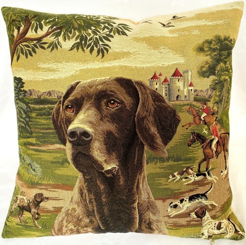 German shorthaired pointer - pointer, in