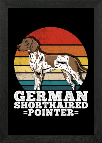 German shorthaired pointer - shorthaired,