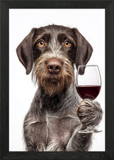 German Wirehaired Pointer dog