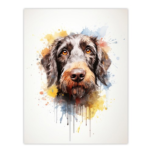 Wirehaired german pointer - wirehaired,
