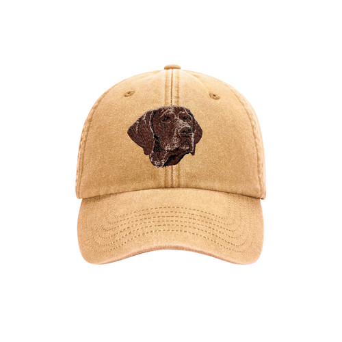 German shorthaired pointer - german,