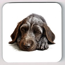 Sleeping Laying Down German